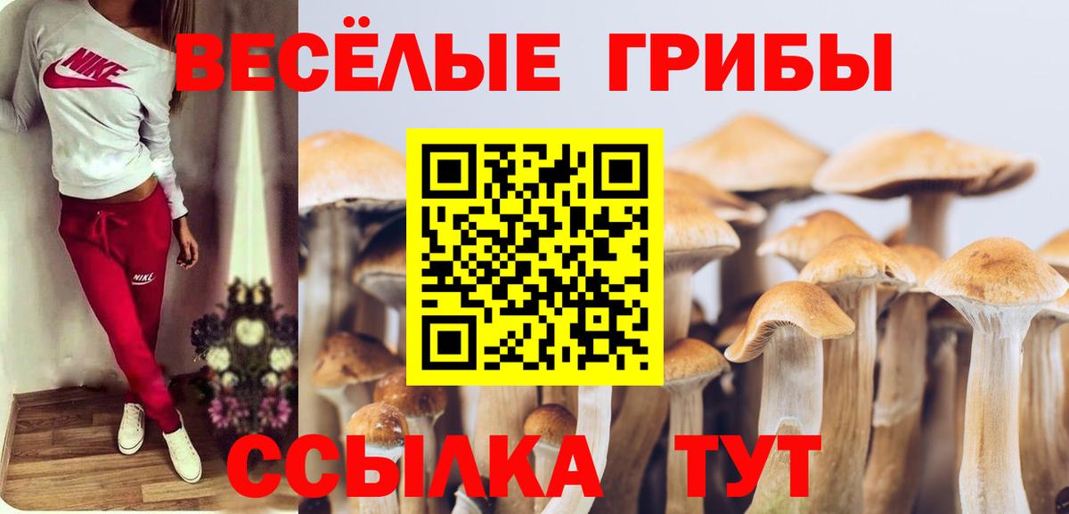 Елабуга  Галлюциногенные грибы ЛСД  Вход с VPN 